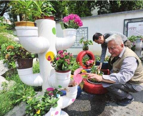 园艺DIY：奇奇怪怪的花盆，想不到的花园创意
