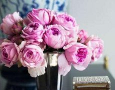 芍药做为七夕节送花名单中的代表,就被视为象征爱情的鲜花